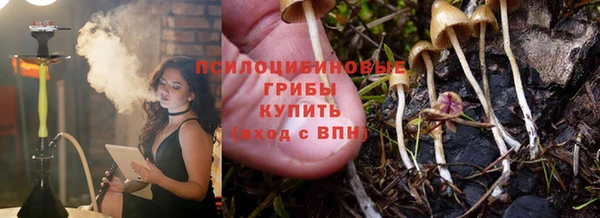 стафф Бронницы
